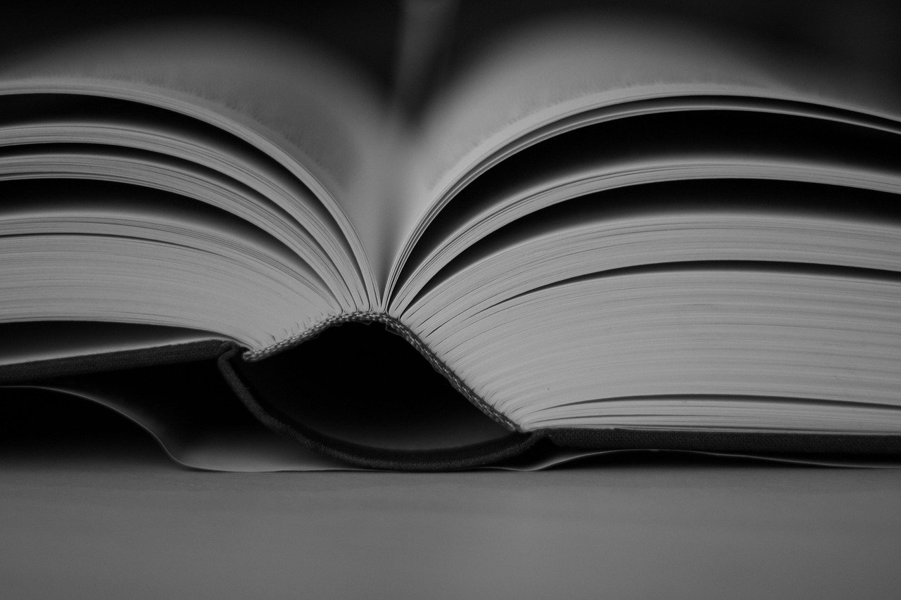 merit-based scholarships